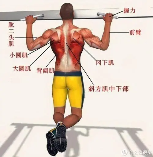 室內(nèi)健身磚